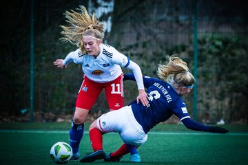Bild 1349 - wBJ HSV - F Holstein Kiel : Ergebnis: 0:6
